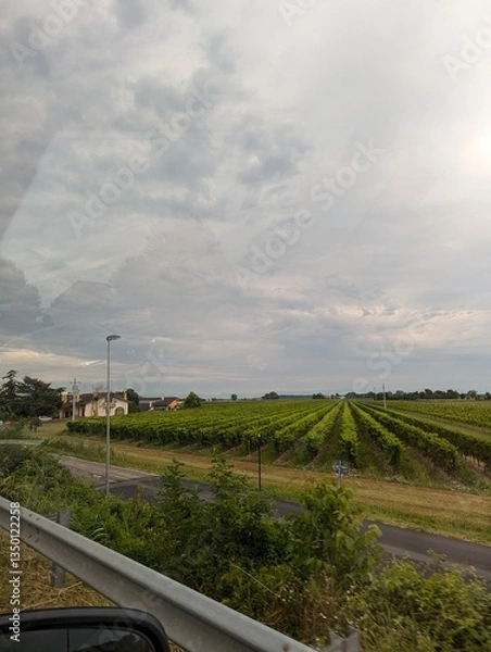 Obraz road in the countryside
