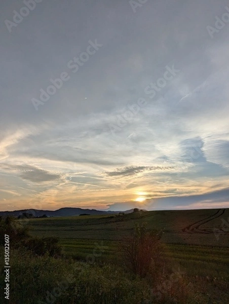 Obraz sunset in the field