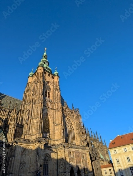 Obraz st vitus cathedral prague