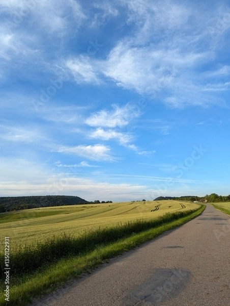 Obraz road in the field