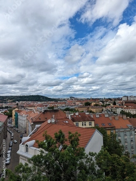 Obraz view of the city
