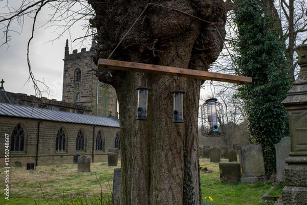 Fototapeta Eham, Chesterfield, United Kingdom - 21 Mar 2025 - A tree with two bird feeders hanging from it. The tree is near a cemetery and a church