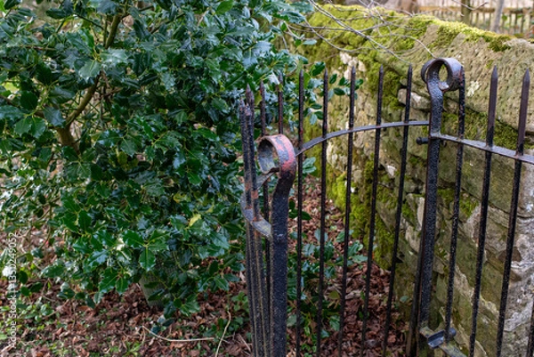 Fototapeta Eham, Chesterfield, United Kingdom - 21 Mar 2025 - A gate with a rusty iron gate is in front of a hedge. The gate is open and the leaves of the hedge are wet