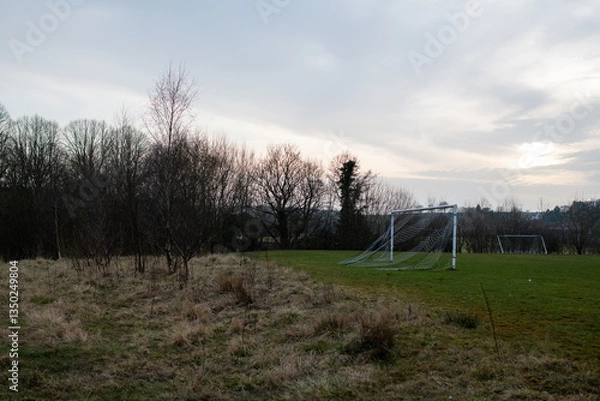 Fototapeta Eham A soccer field with a goal and a few trees in the background. The sky is cloudy and the grass is dry