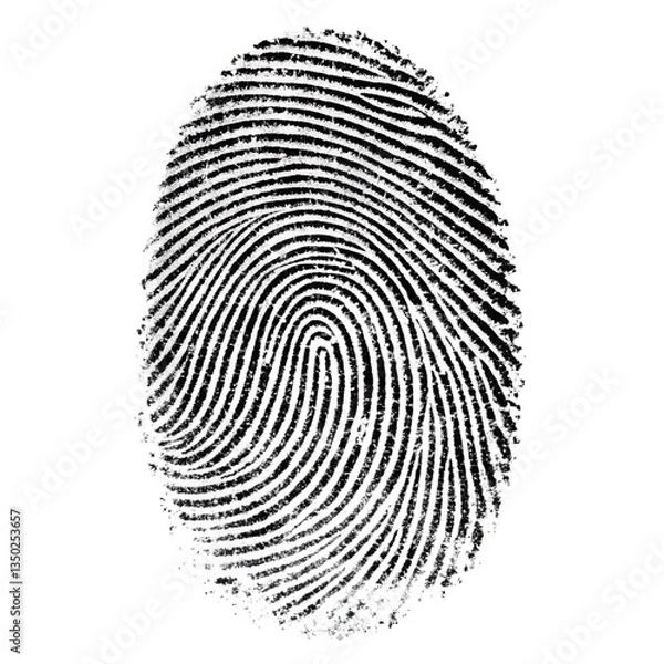 Fototapeta Fingerprint png, high contrast fingerprint scan, biometric fingerprint isolated, detailed fingerprint on transparent background