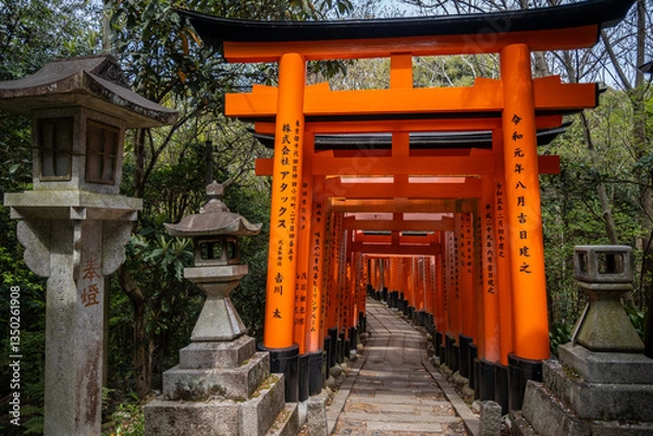 Fototapeta The iconic red torii gates form a path at Fushimi Inari Shrine in Kyoto, Japan. Donated by companies and individuals, each gate symbolizes gratitude to Inari, god of rice and prosperity.