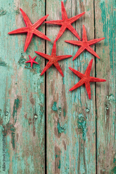 Obraz Shell and starfish frame with space on wooden old background. Summer holiday concept