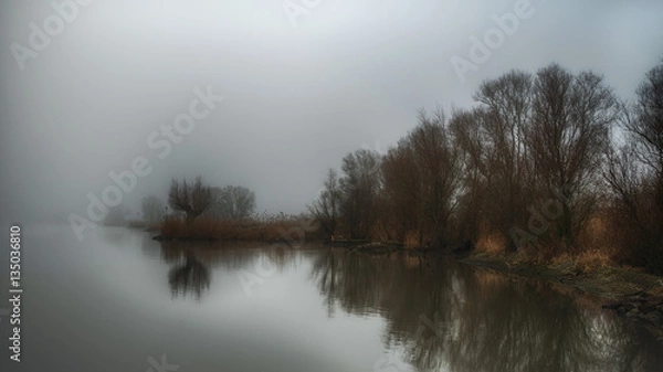 Obraz Misty landscape