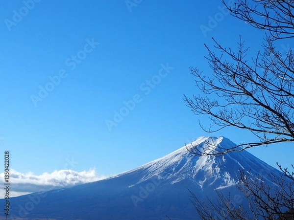 Fototapeta 三ツ峠から見た富士