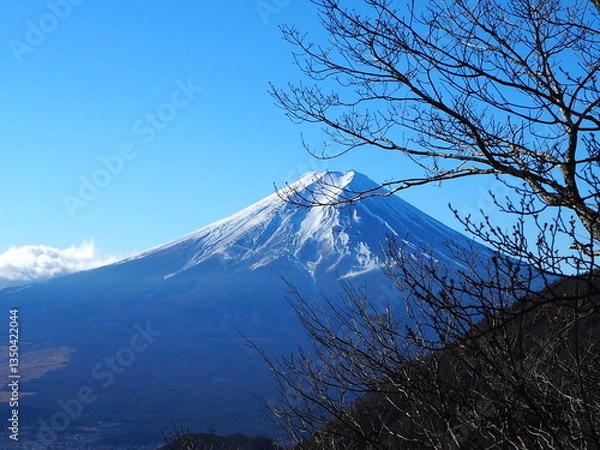 Obraz 三ツ峠から見た富士
