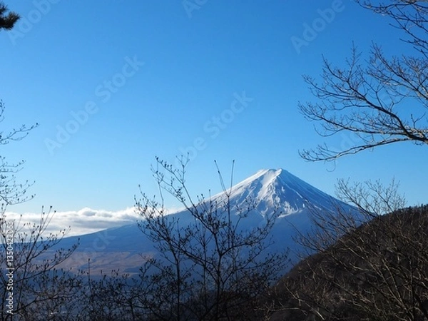 Obraz 三ツ峠から見た富士