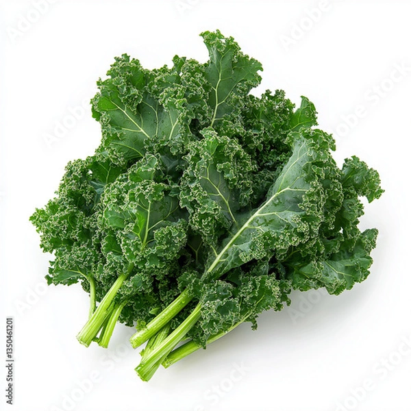Obraz Fresh Kale Leaves 