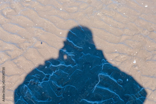 Fototapeta A person's shadow is cast on the sand