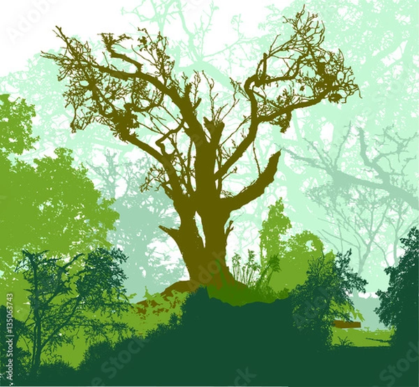 Fototapeta Panoramic forest landscape with big tree, green plants and branches in background. Green, brown and blue silhouettes of trees and plants
