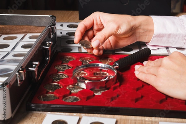 Fototapeta Woman's hands with a coin and a box of coins