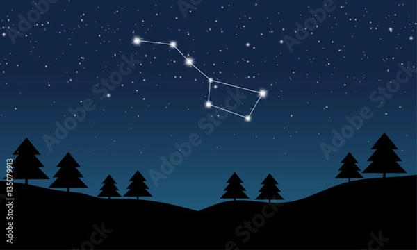 Fototapeta Vector illustration of Ursa Major constellation on the background of starry sky and night landscape