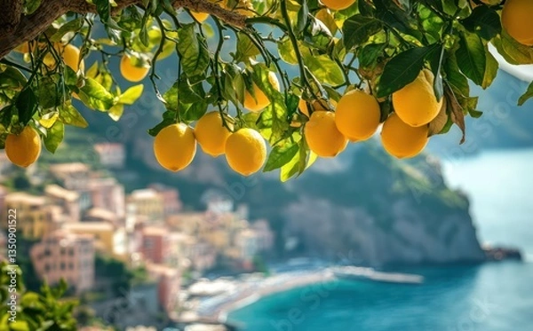 Fototapeta Coastal Italian lemon grove overlooking village
