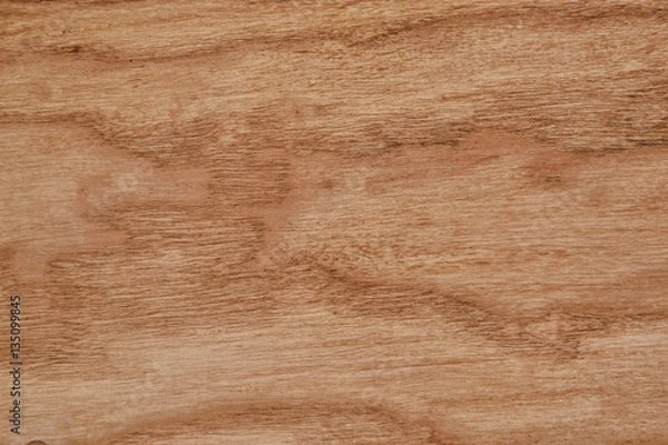 Obraz Wood Background Texture
