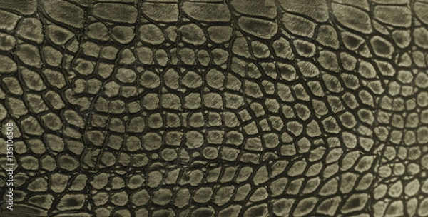 Obraz Snake skin background. Close up.
