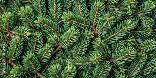 Fototapeta Dense cluster of coniferous branches intertwined with delicate twigs and leaves, creating a seamless background for any image , foliage, texture