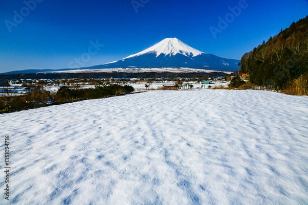Fototapeta 忍野村から富士山と雪景色