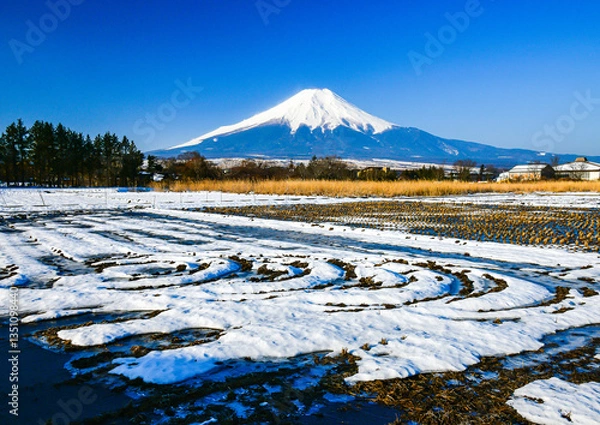 Obraz 忍野村から富士山と雪景色