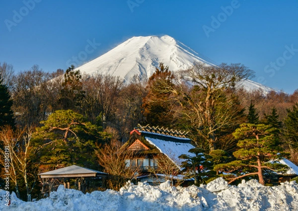 Fototapeta 忍野村から富士山と雪景色
