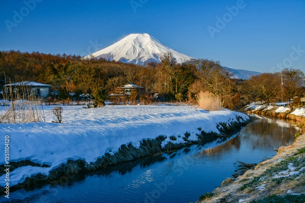 Fototapeta 忍野村から富士山と雪景色