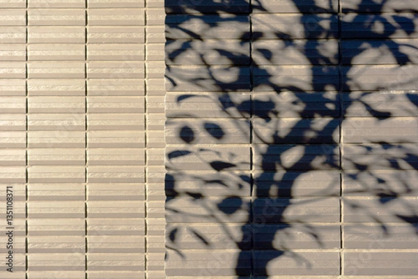 Obraz 住宅の外壁と植物の影
