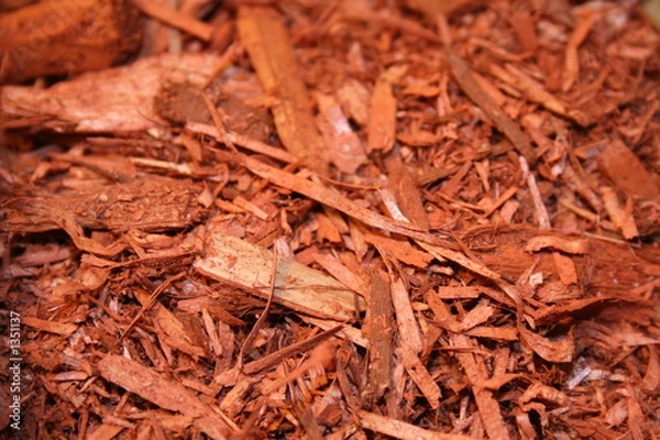 Obraz cedar mulch