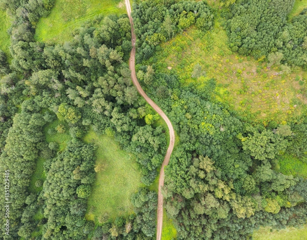 Fototapeta View from Above of a winding country road between the green forest in summer time.