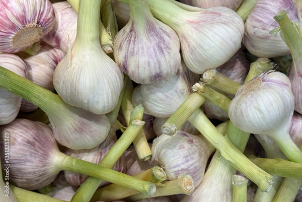 Obraz raw garlic on a store shelf