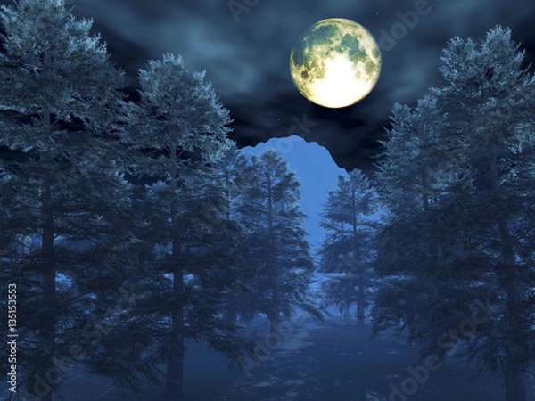 Obraz 3d illustration winter night scene