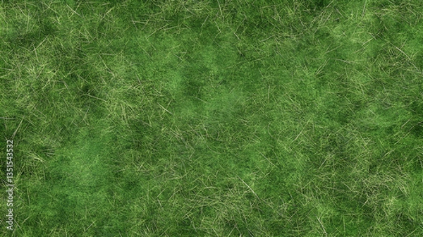 Fototapeta Lush green grass texture, aerial view, background for design