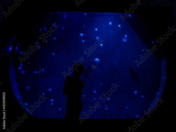 Fototapeta Silhouette of a child watching jellyfishes in an aquarium in Odysseo, Mauritius
