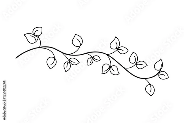 Fototapeta Simple Line Drawing of a Meandering Vine with Leaves