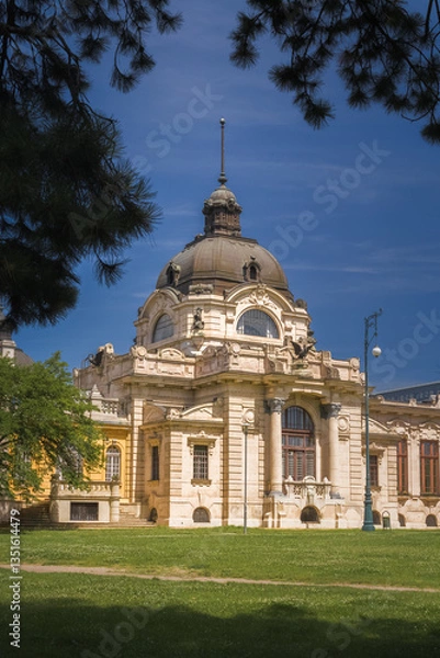 Fototapeta The Széchenyi Thermal Bath, one of Europe's largest spa complexes, showcases a stunning neo-Baroque design. Its classical columns and ornate facade reflect the elegance of traditional bath culture