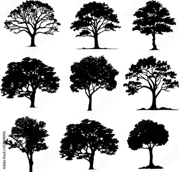 Fototapeta Set of silhouette clipart of a large oak tree, Big collection of tree silhouettes isolated on white background.