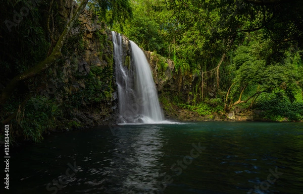 Fototapeta Long Exposure shot of Minissy Waterfall located in Mauritius island