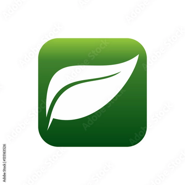 Fototapeta Eco and Nature Vector Icon 