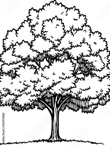 Fototapeta A simple illustration depicting a black and white deciduous tree