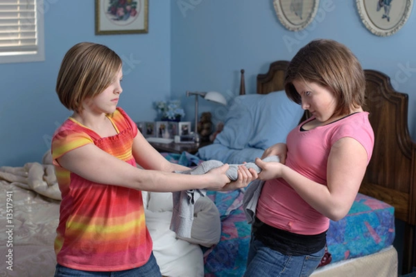 Obraz fighting sisters