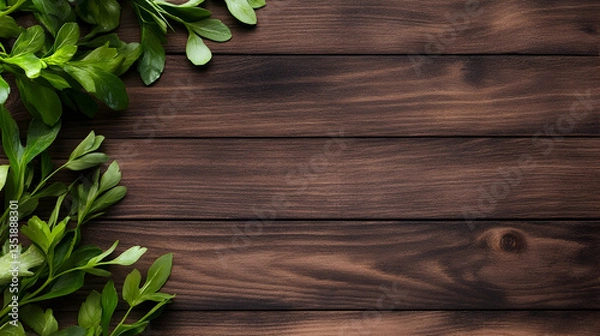 Fototapeta Lush green plants on dark wood background, space for text, ideal for nature or health-related design