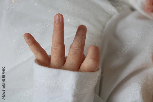 Obraz hand on the white background