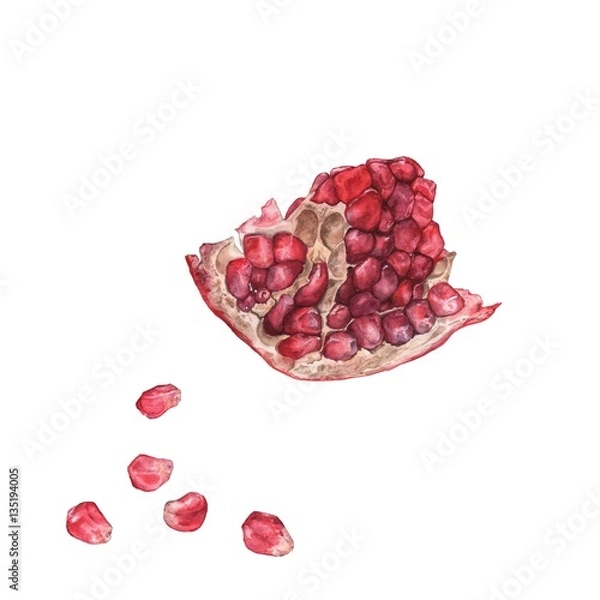 Obraz Slice the pomegranate with grains.  Watercolor painting. Handmade drawing. Isolated on white