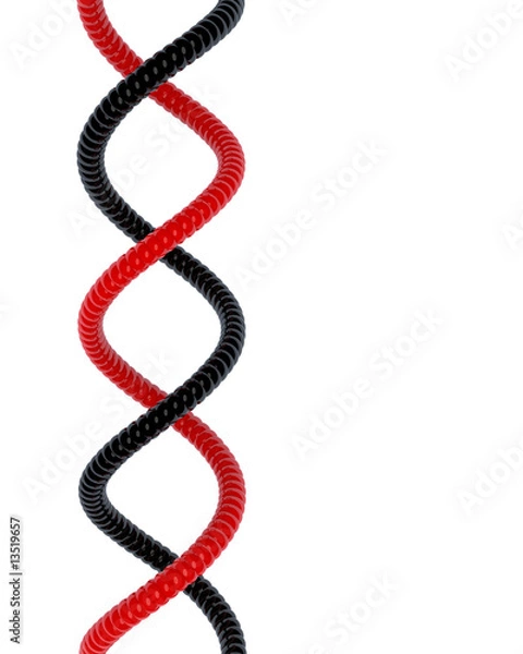 Obraz DNA red and black