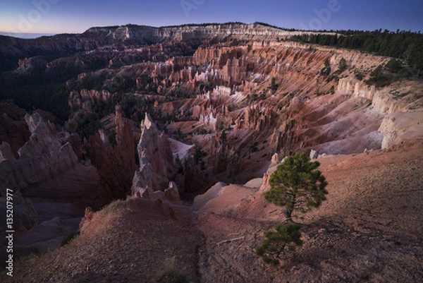 Obraz Bryce Canyon Dawn