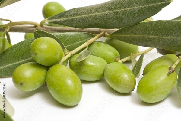 Fototapeta moraiolo2