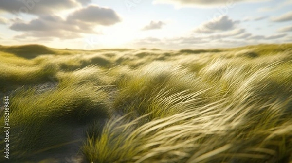 Fototapeta Lush Green Grass Field Under Soft Sunrise Glow with Gentle Breeze