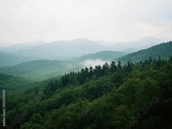 Obraz An elevated view of a mountain range with a dense forest in the foreground, featuring mist, fog, a light blue sky, green trees and distant green mountains
